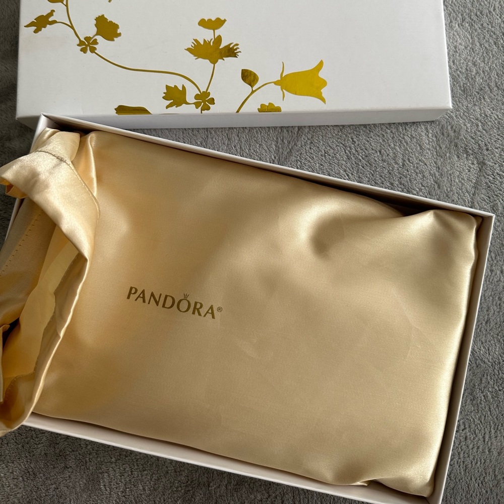 Pandora Gold Clutch